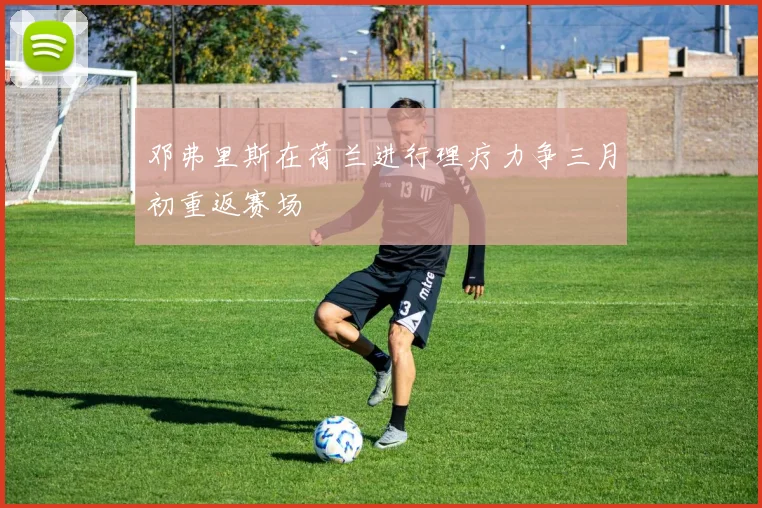 邓弗里斯在荷兰进行理疗力争三月初重返赛场