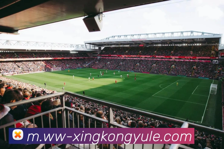 星空娱乐服务体系